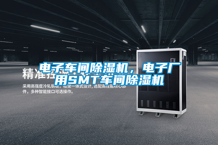 国产精品探花在线观看 电子车间除湿机，电子厂用SMT车间除湿机
