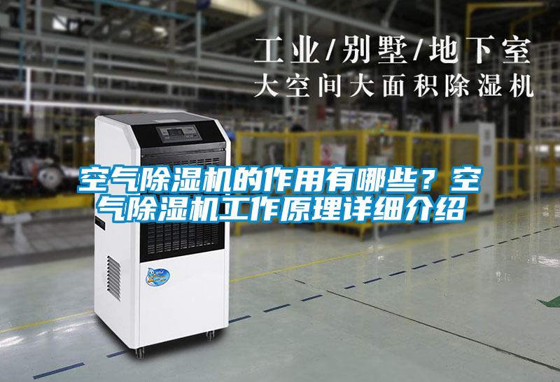 国产精品欧美激情视频 空气除湿机的作用有哪些？空气除湿机工作原理详细介绍