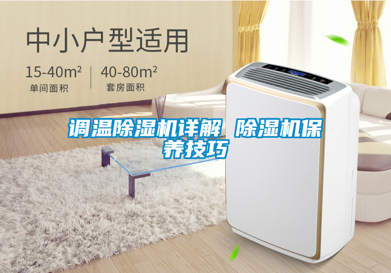 国产精品三级在线观看 调温除湿机详解 除湿机保养技巧