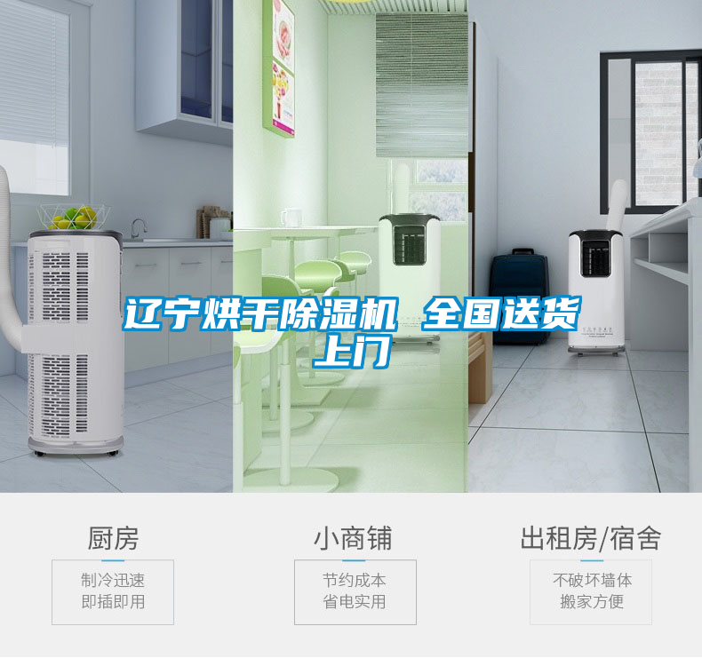 国产精品三级在线观看 辽宁烘干除湿机 全国送货上门
