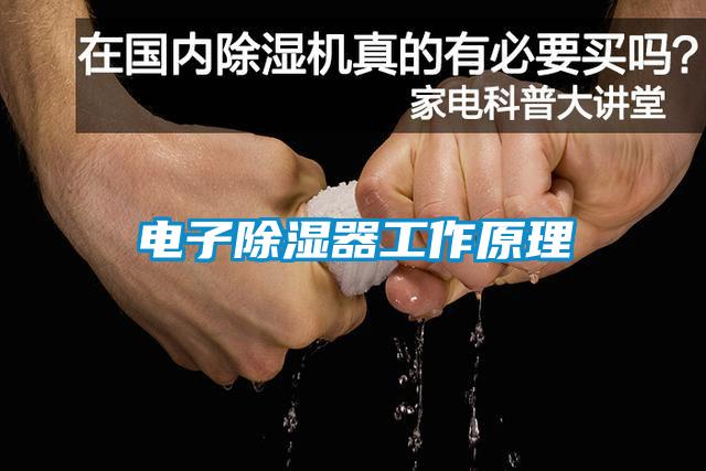 国产精品三级在线观看 电子除湿器工作原理