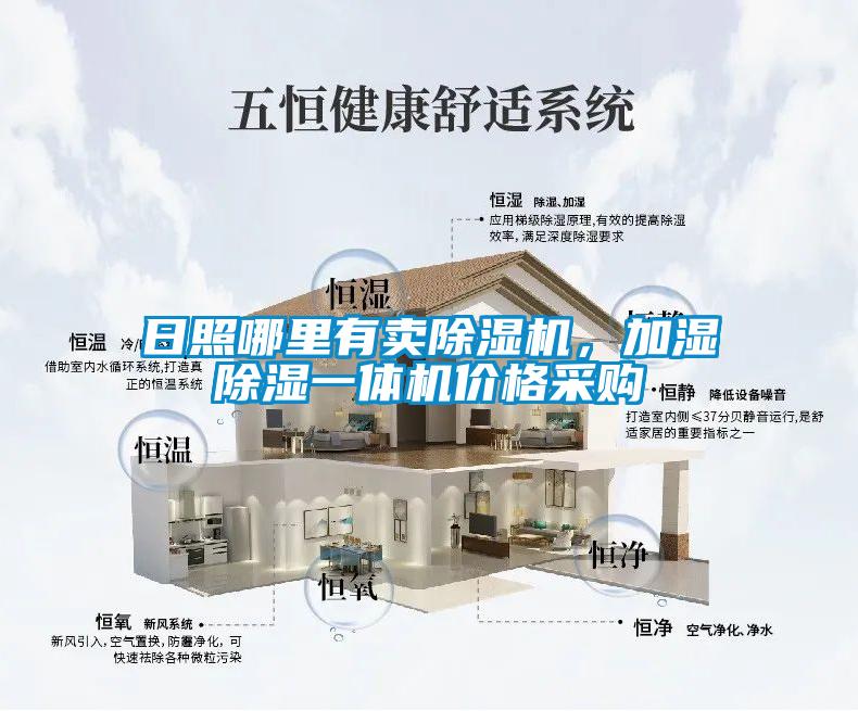 国产精品欧美激情视频 日照哪里有卖除湿机，加湿除湿一体机价格采购