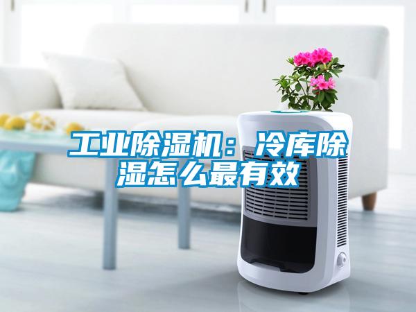 国产精品探花在线观看 工业除湿机：冷库除湿怎么最有效