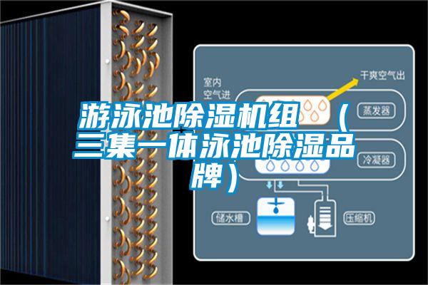 国产精品三级在线观看 游泳池除湿机组 （三集一体泳池除湿品牌）