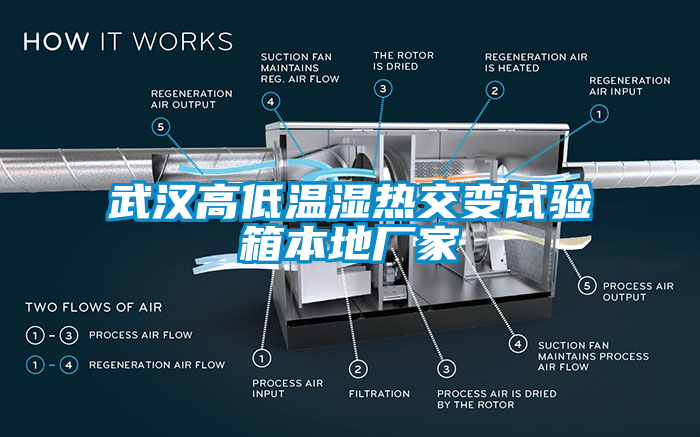 国产精品三级在线观看 武汉高低温湿热交变试验箱本地厂家