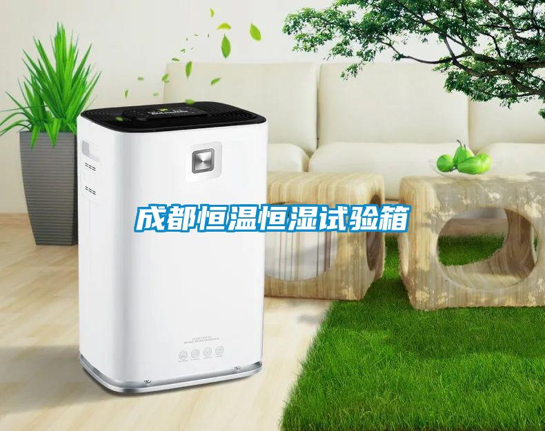 国产精品探花在线观看 成都恒温恒湿试验箱