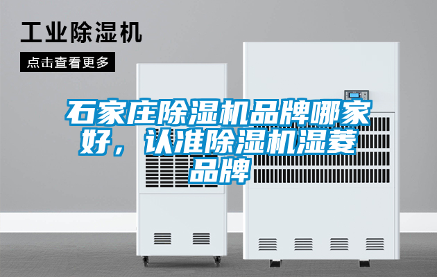 国产精品三级在线观看 石家庄除湿机品牌哪家好，认准除湿机湿菱品牌