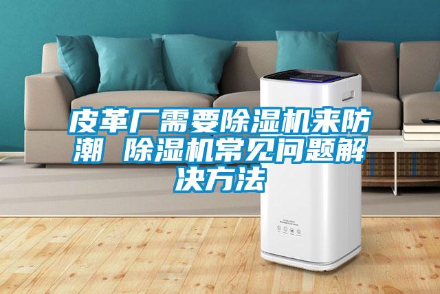 国产精品探花在线观看 皮革厂需要除湿机来防潮 除湿机常见问题解决方法