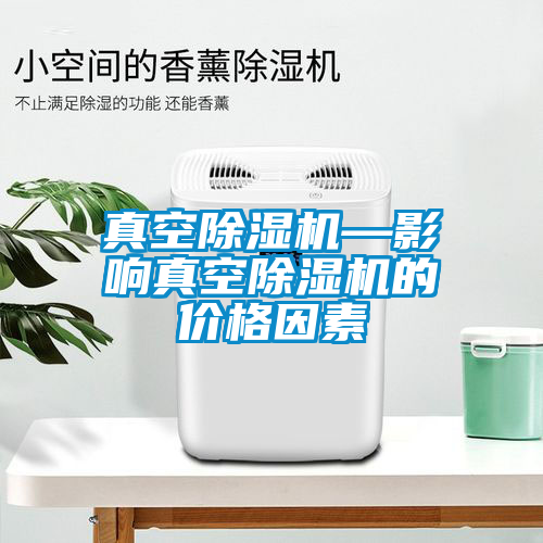 国产精品欧美激情视频 真空除湿机—影响真空除湿机的价格因素