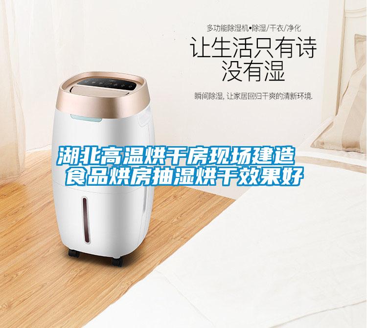 国产精品探花在线观看 湖北高温烘干房现场建造 食品烘房抽湿烘干效果好