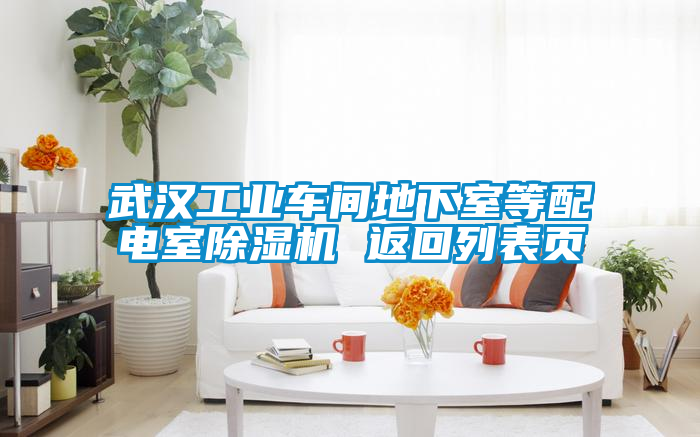 国产精品欧美激情视频 武汉工业车间地下室等配电室除湿机 返回列表页