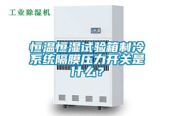 国产精品三级在线观看 恒温恒湿试验箱制冷系统隔膜压力开关是什么？