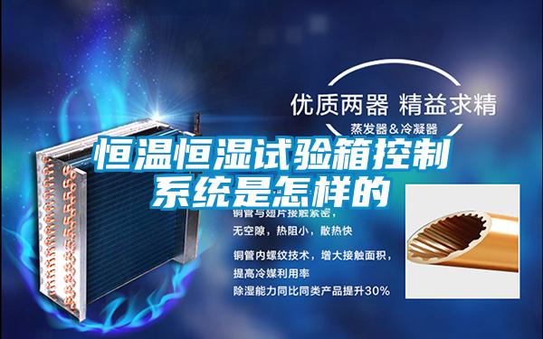 国产精品欧美激情视频 恒温恒湿试验箱控制系统是怎样的
