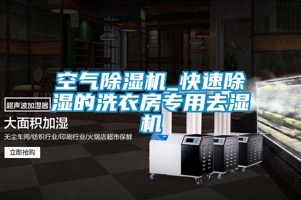 国产精品探花在线观看 空气除湿机_快速除湿的洗衣房专用去湿机