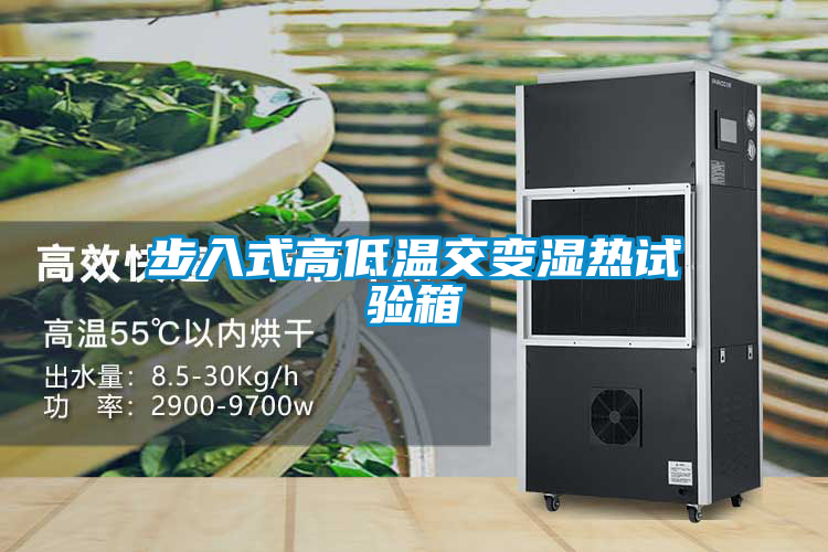 国产精品欧美激情视频 步入式高低温交变湿热试验箱
