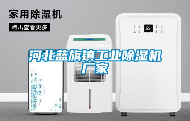 国产精品欧美激情视频 河北蓝旗镇工业除湿机厂家