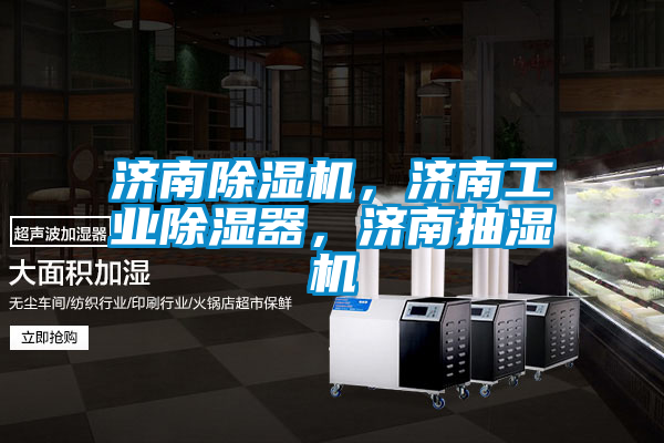 国产精品探花在线观看 济南除湿机，济南工业除湿器，济南抽湿机