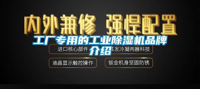 国产精品三级在线观看 工厂专用的工业除湿机品牌介绍