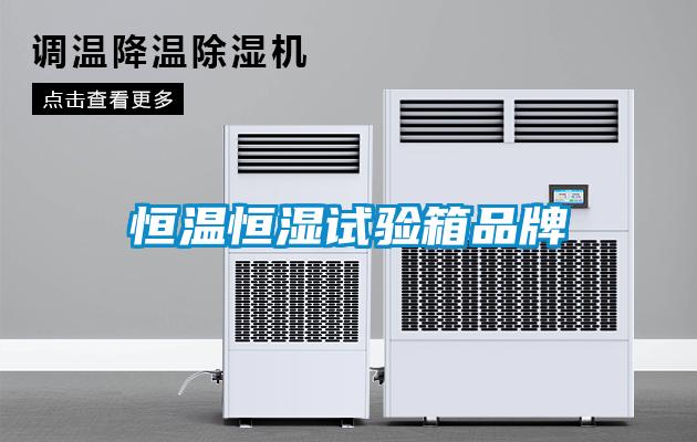 国产精品欧美激情视频 恒温恒湿试验箱品牌