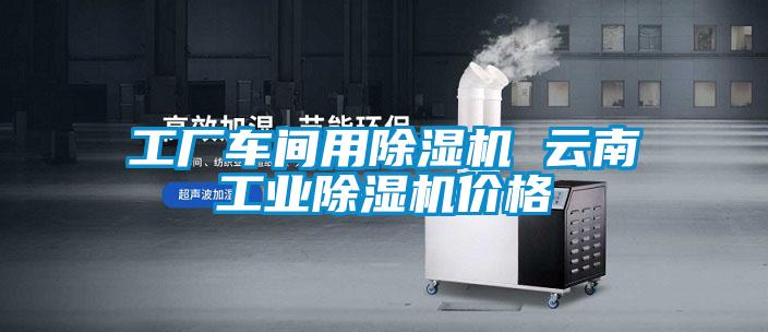 国产精品欧美激情视频 工厂车间用除湿机 云南工业除湿机价格