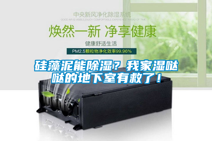 国产精品探花在线观看 硅藻泥能除湿？我家湿哒哒的地下室有救了！