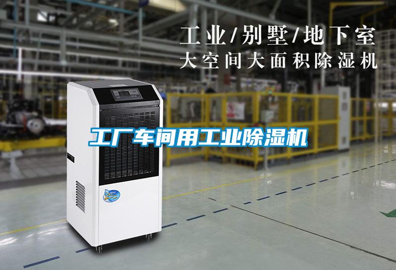 国产精品探花在线观看 工厂车间用工业除湿机