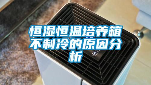 国产精品欧美激情视频 恒湿恒温培养箱不制冷的原因分析