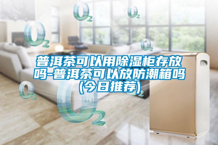 国产精品探花在线观看 普洱茶可以用除湿柜存放吗-普洱茶可以放防潮箱吗(今日推荐)
