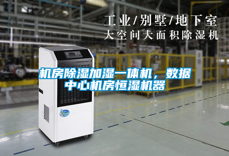 国产精品三级在线观看 机房除湿加湿一体机，数据中心机房恒湿机器