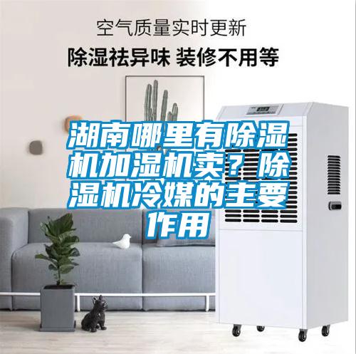 国产精品三级在线观看 湖南哪里有除湿机加湿机卖？除湿机冷媒的主要作用