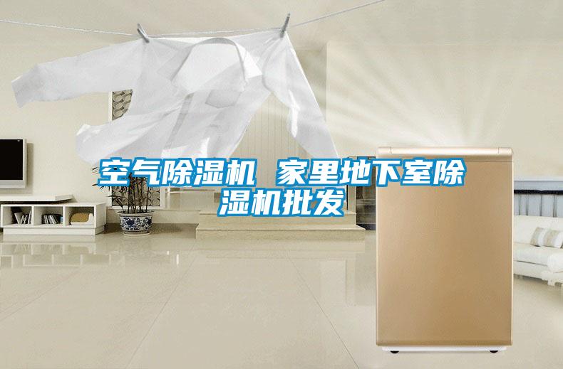 国产精品探花在线观看 空气除湿机 家里地下室除湿机批发