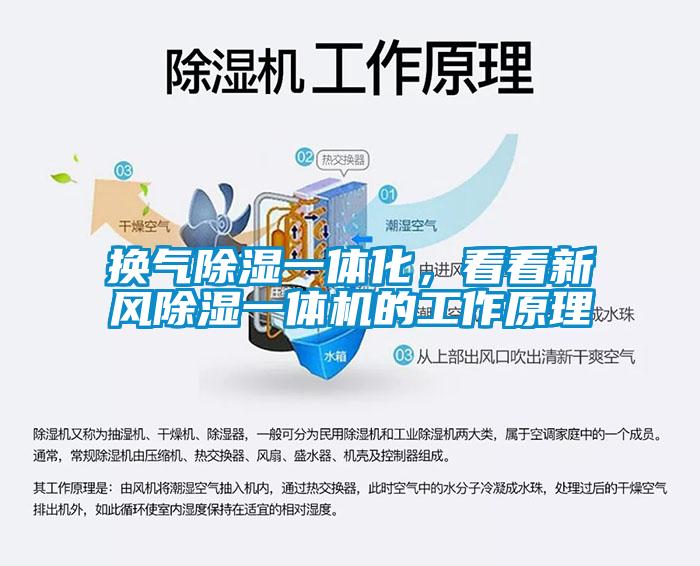 国产精品三级在线观看 换气除湿一体化，看看新风除湿一体机的工作原理