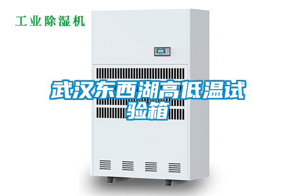 国产精品三级在线观看 武汉东西湖高低温试验箱
