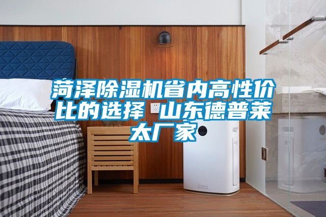 国产精品三级在线观看 菏泽除湿机省内高性价比的选择 山东德普莱太厂家