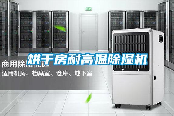 国产精品三级在线观看 烘干房耐高温除湿机