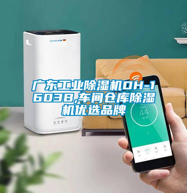 国产精品欧美激情视频 广东工业除湿机DH-1603B,车间仓库除湿机优选品牌