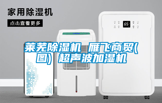 国产精品三级在线观看 莱芜除湿机 雁飞商贸(图) 超声波加湿机