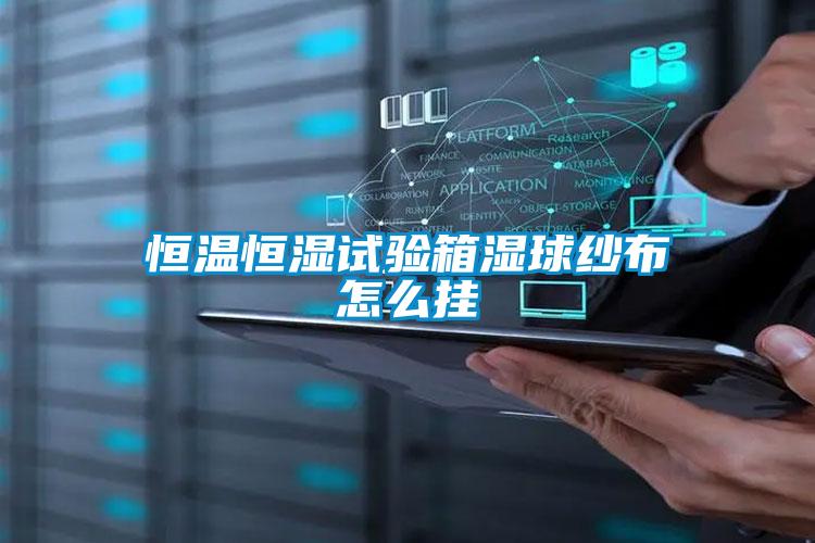 国产精品三级在线观看 恒温恒湿试验箱湿球纱布怎么挂