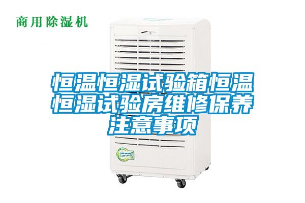 国产精品三级在线观看 恒温恒湿试验箱恒温恒湿试验房维修保养注意事项