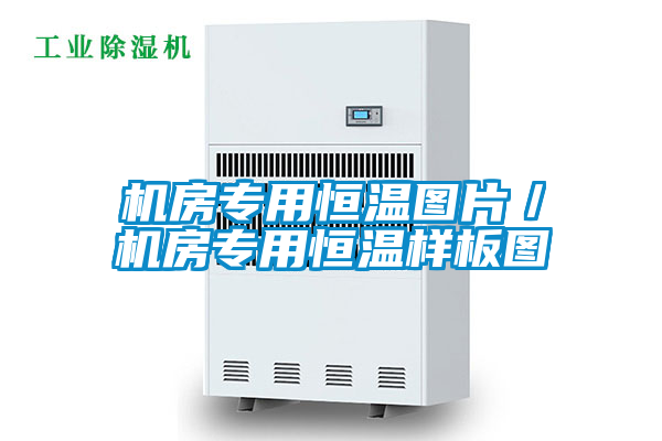 国产精品探花在线观看 机房专用恒温图片／机房专用恒温样板图