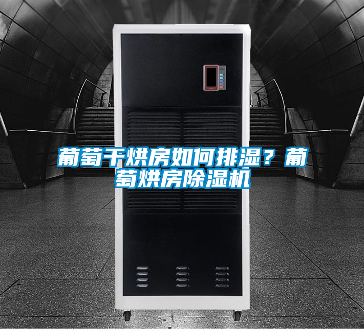 国产精品欧美激情视频 葡萄干烘房如何排湿？葡萄烘房除湿机