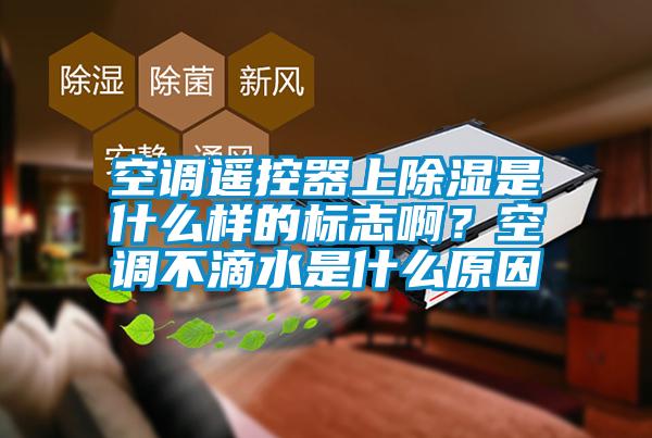 国产精品三级在线观看 空调遥控器上除湿是什么样的标志啊？空调不滴水是什么原因