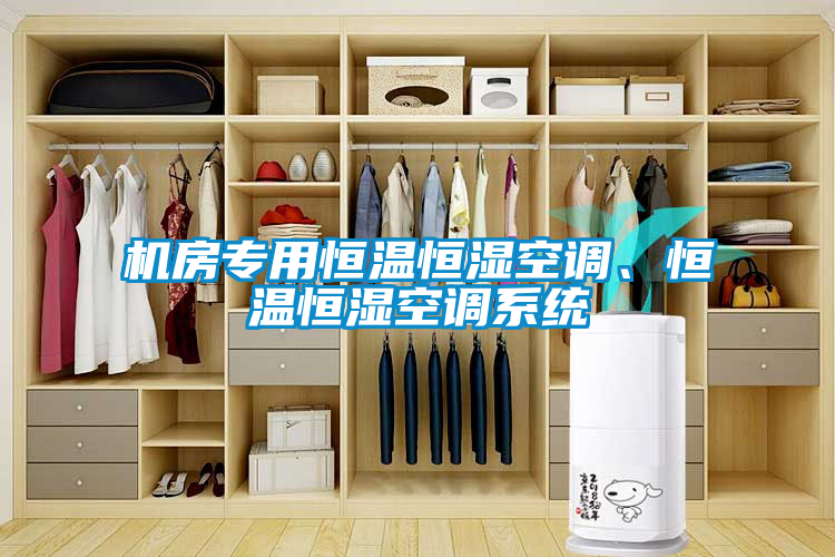 国产精品三级在线观看 机房专用恒温恒湿空调、恒温恒湿空调系统