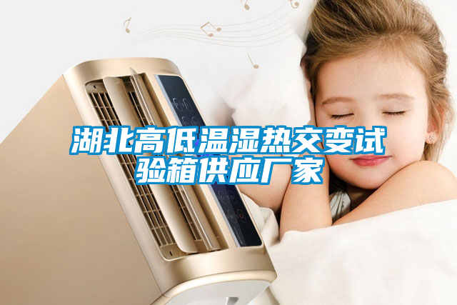 国产精品三级在线观看 湖北高低温湿热交变试验箱供应厂家