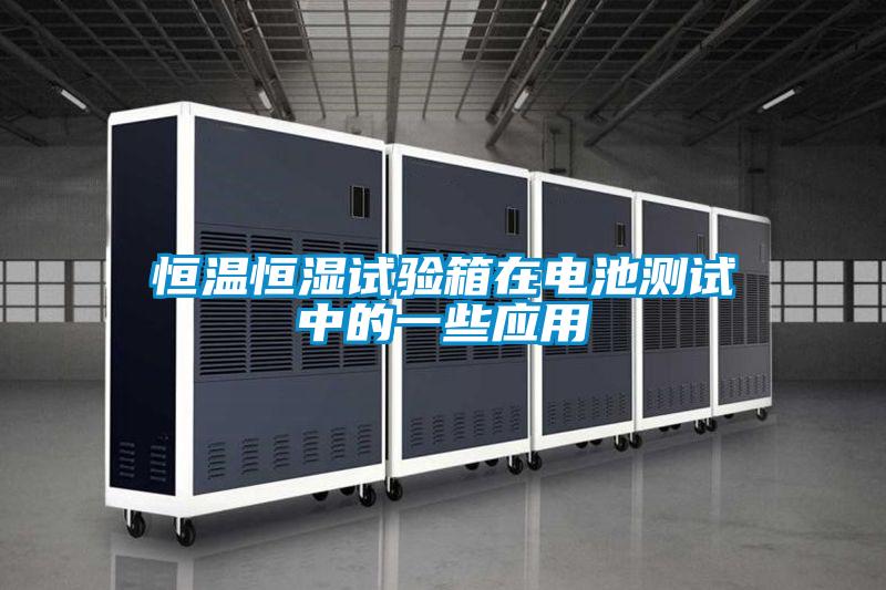 国产精品欧美激情视频 恒温恒湿试验箱在电池测试中的一些应用
