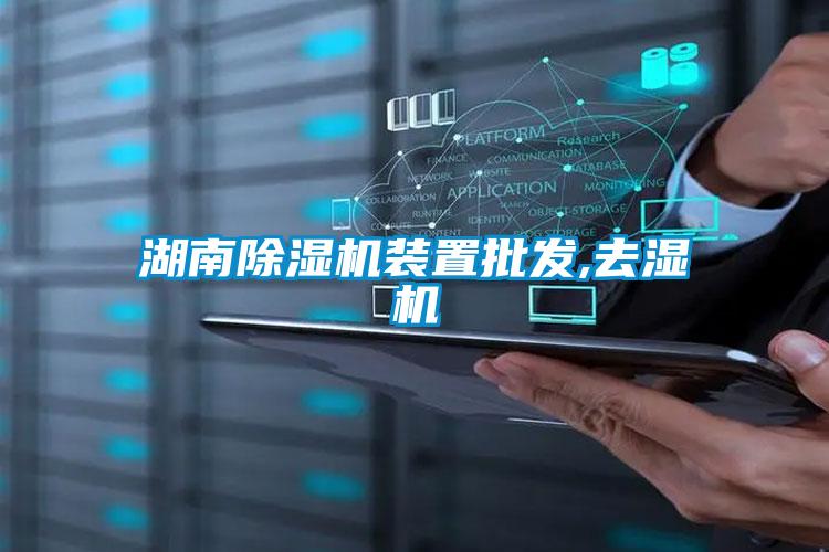 国产精品探花在线观看 湖南除湿机装置批发,去湿机