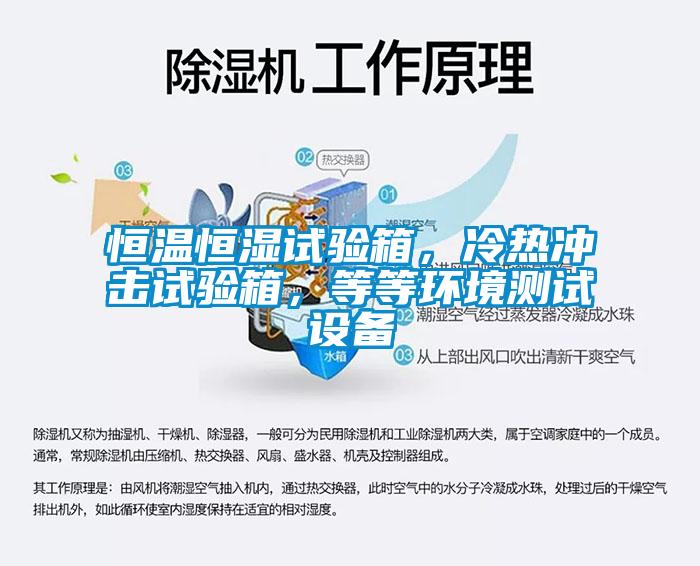 国产精品三级在线观看 恒温恒湿试验箱，冷热冲击试验箱，等等环境测试设备