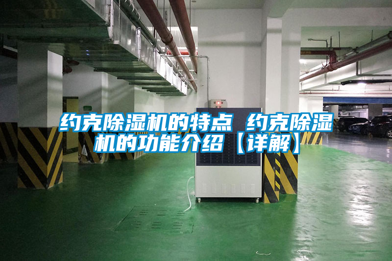 国产精品欧美激情视频 约克除湿机的特点 约克除湿机的功能介绍【详解】