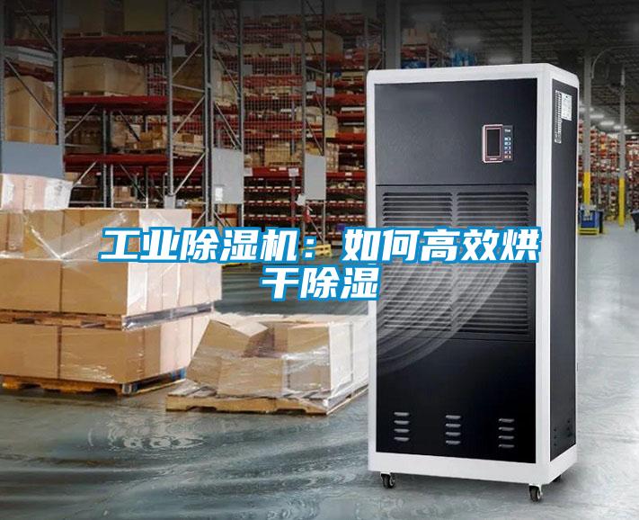 国产精品三级在线观看 工业除湿机：如何高效烘干除湿