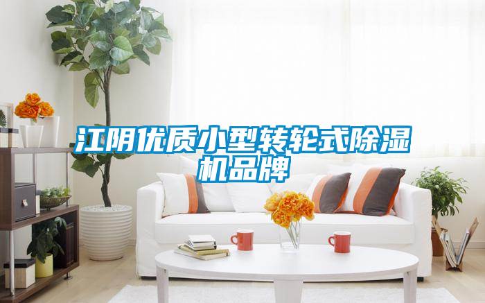 国产精品三级在线观看 江阴优质小型转轮式除湿机品牌